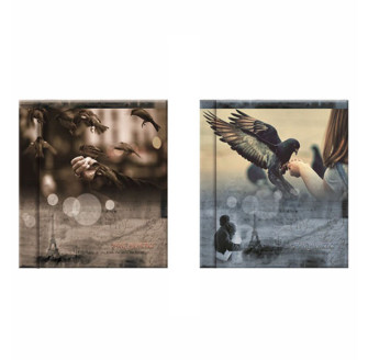 Фотоальбом UFO 20sheet S22x32 Vintage sparrow