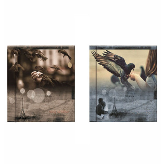 Фотоальбом UFO 20sheet S22x32 Vintage sparrow
