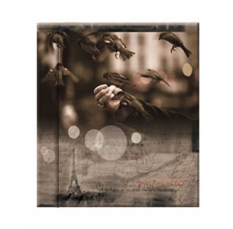 Фотоальбом UFO 20sheet S22x32 Vintage sparrow