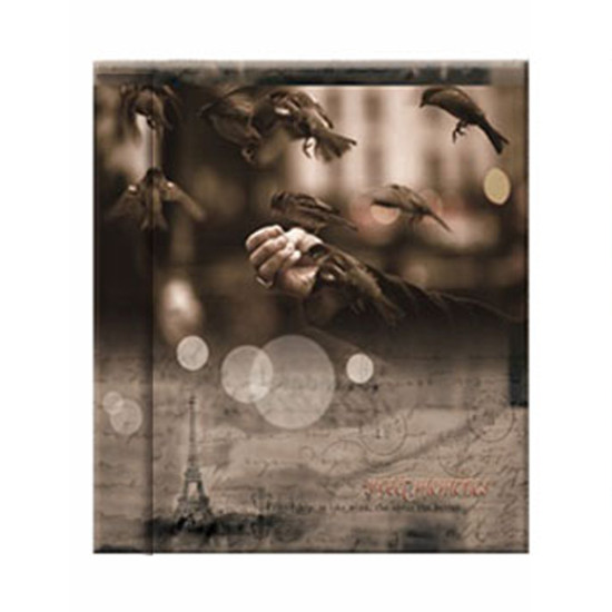 Фотоальбом UFO 20sheet S22x32 Vintage sparrow
