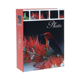 Фотоальбом GEDEON MM46100 CARMINE 10x15/100 bird