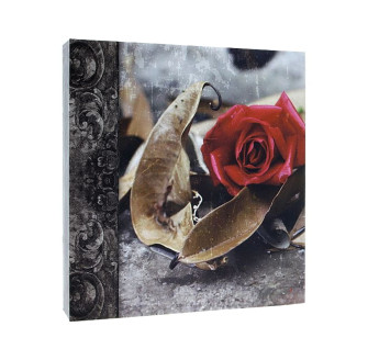 Фотоальбом GEDEON DRS50 TIME3 225x280 Самокл./100 rose