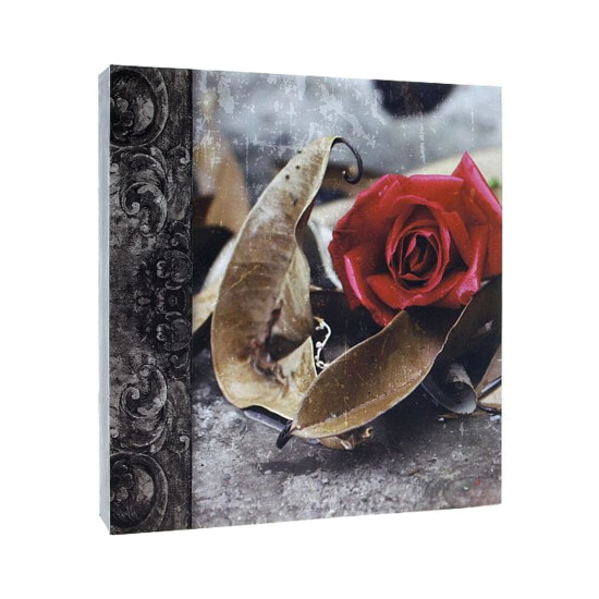 Фотоальбом GEDEON DRS50 TIME3 225x280 Самокл./100 rose