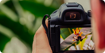 Професійних фотографів
